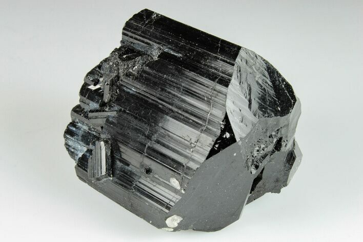 Terminated Black Tourmaline (Schorl) Crystal - Madagascar #200433